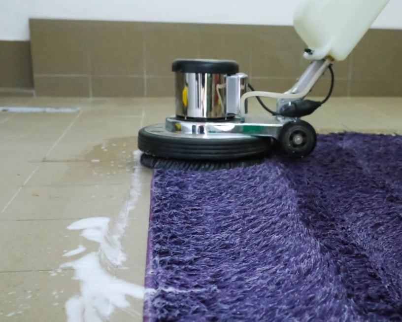 Serviços profissionais de limpeza e higienização de estofados, carpetes, cortinas, colchões e sofás